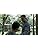 Tree of Life Blu-Ray - PRE-ORDER - 17-NOVEMBER-2025