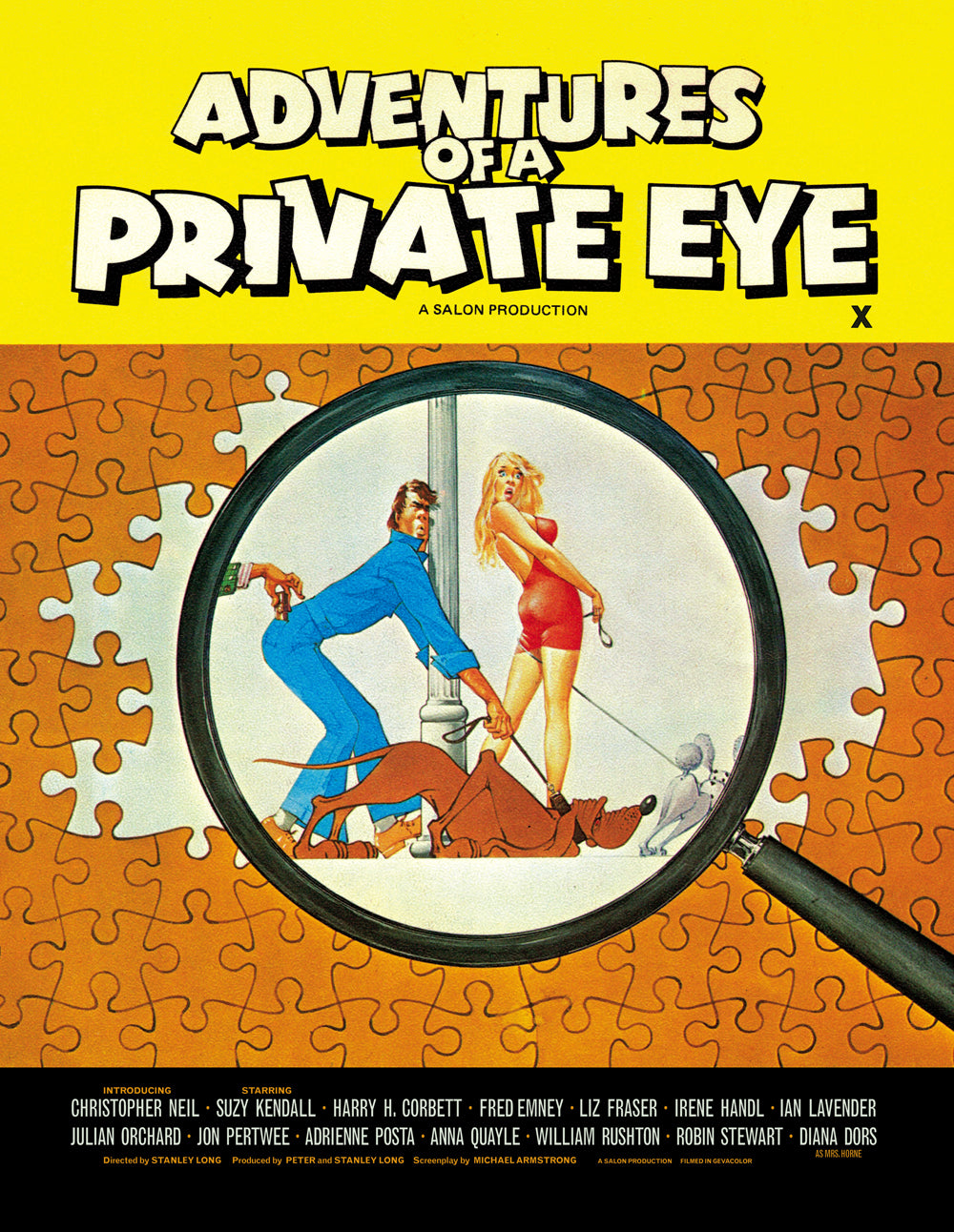 STANLEY LONG'S ADVENTURES: A Seventies Sex Comedy Threesome - LE [US]